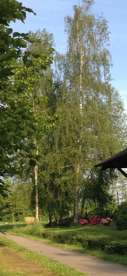 La Gare Aux Oiseaux Champagnac-la-Rivière Exterior foto